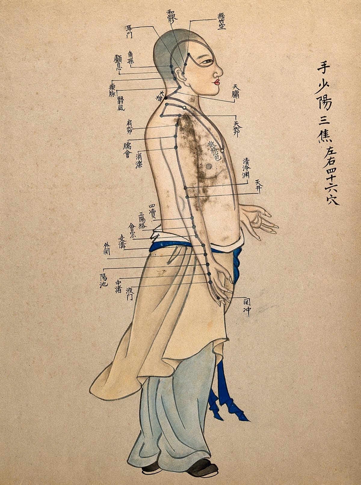 Hand Shaoyang Sanjiao (SJ/TE/TW)