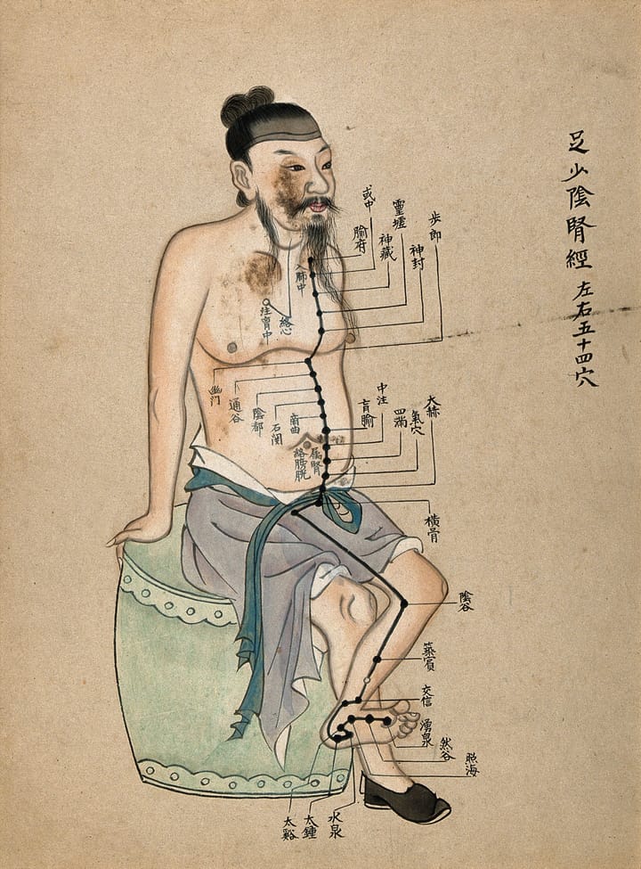 Foot Shaoyin Kidney Points (KI)