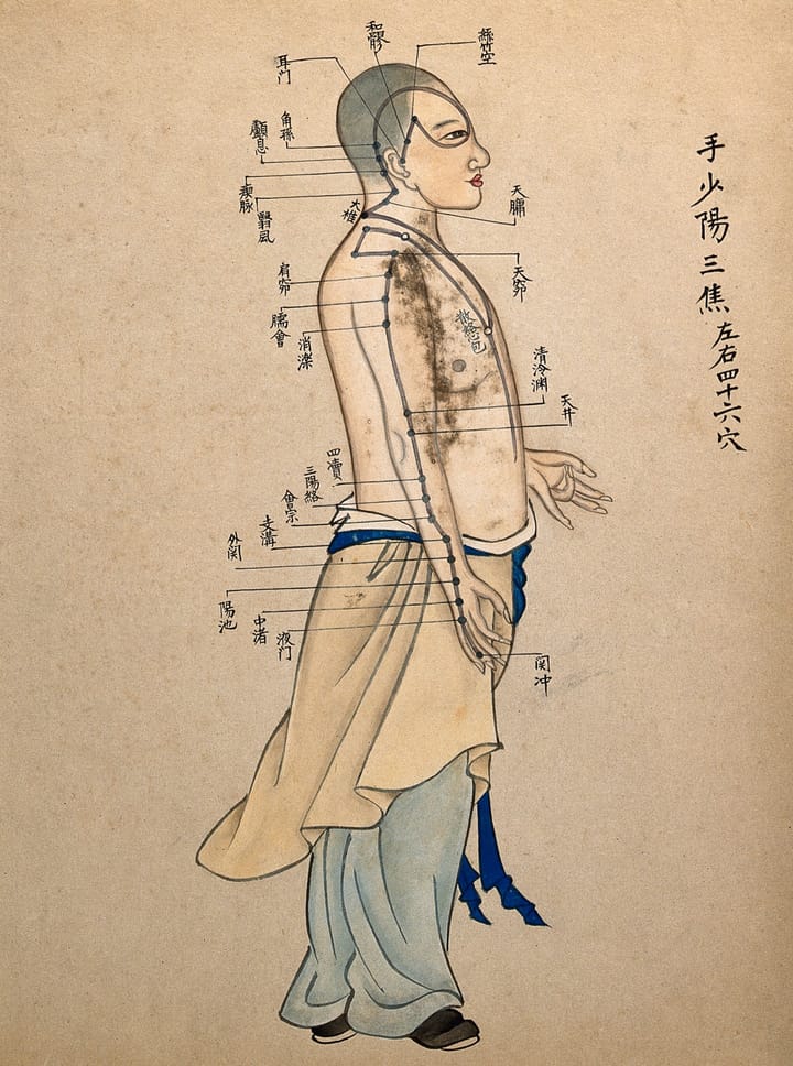 Hand Shaoyang Sanjiao (SJ/TE/TW)